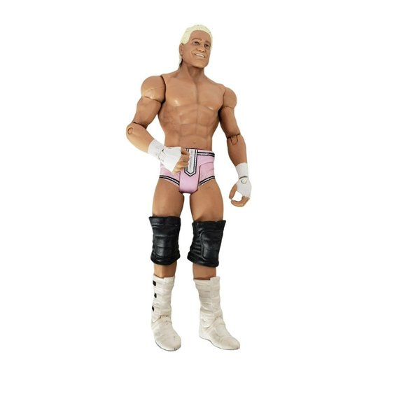 WWE Mattel Basic Series 38 Dolph Ziggler Wrestling Action Figure OVER IT‎ 2011 - Picture 1 of 10
